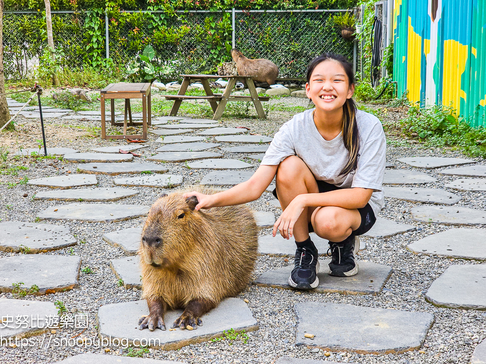 南投景點,另類寵物餐廳,埔里咖啡館,埔里景點