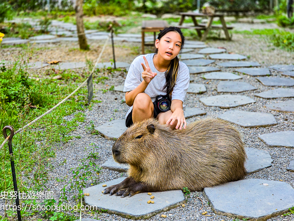 南投景點,另類寵物餐廳,埔里咖啡館,埔里景點