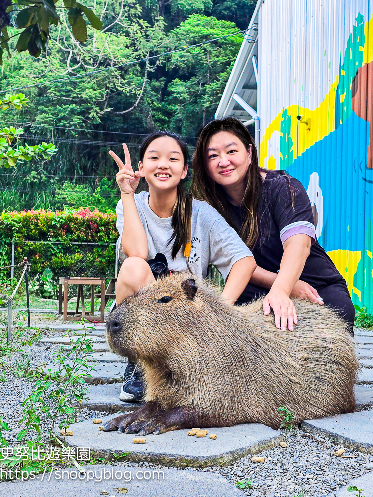 南投景點,另類寵物餐廳,埔里咖啡館,埔里景點