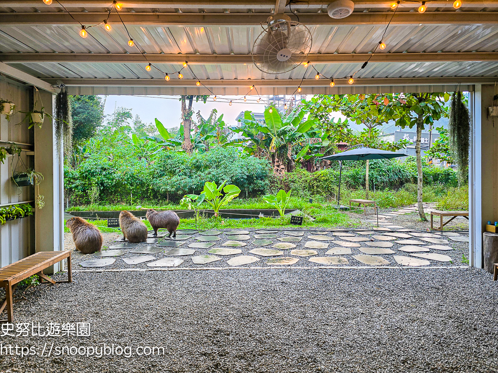 南投景點,另類寵物餐廳,埔里咖啡館,埔里景點