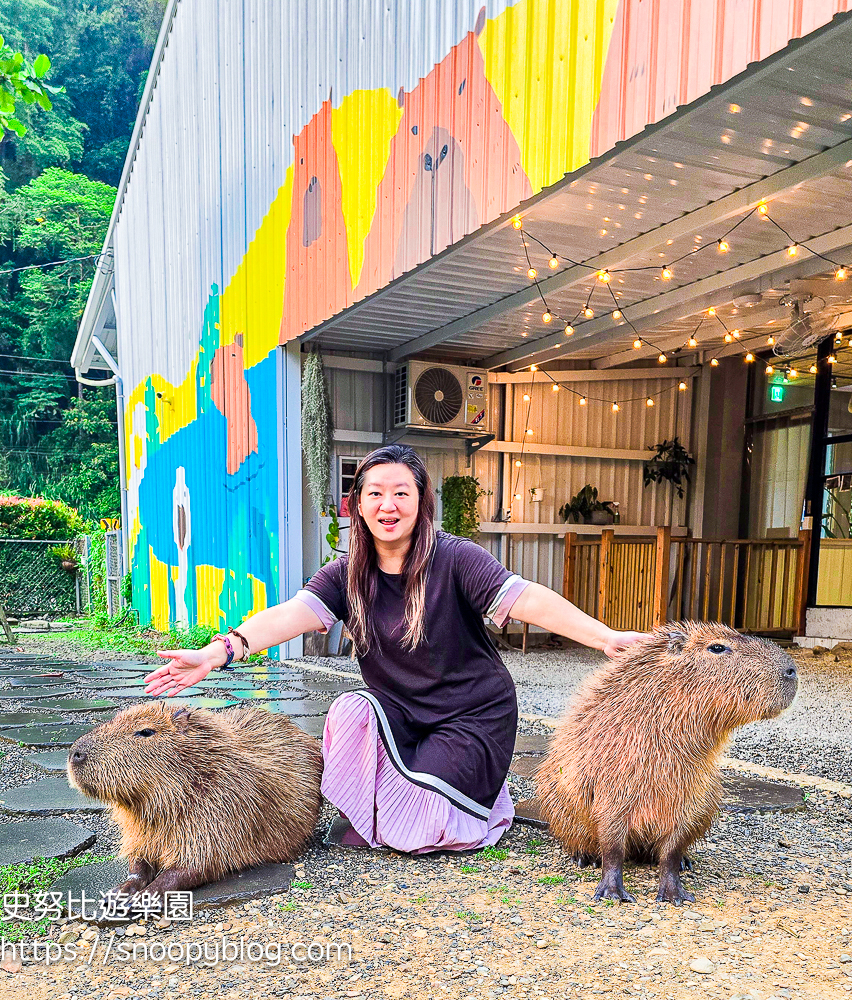 南投景點,另類寵物餐廳,埔里咖啡館,埔里景點