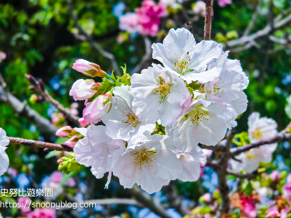  @史努比遊樂園