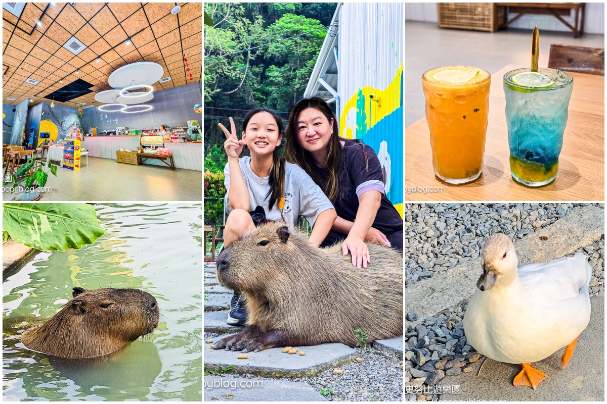 南投景點,另類寵物餐廳,埔里咖啡館,埔里景點