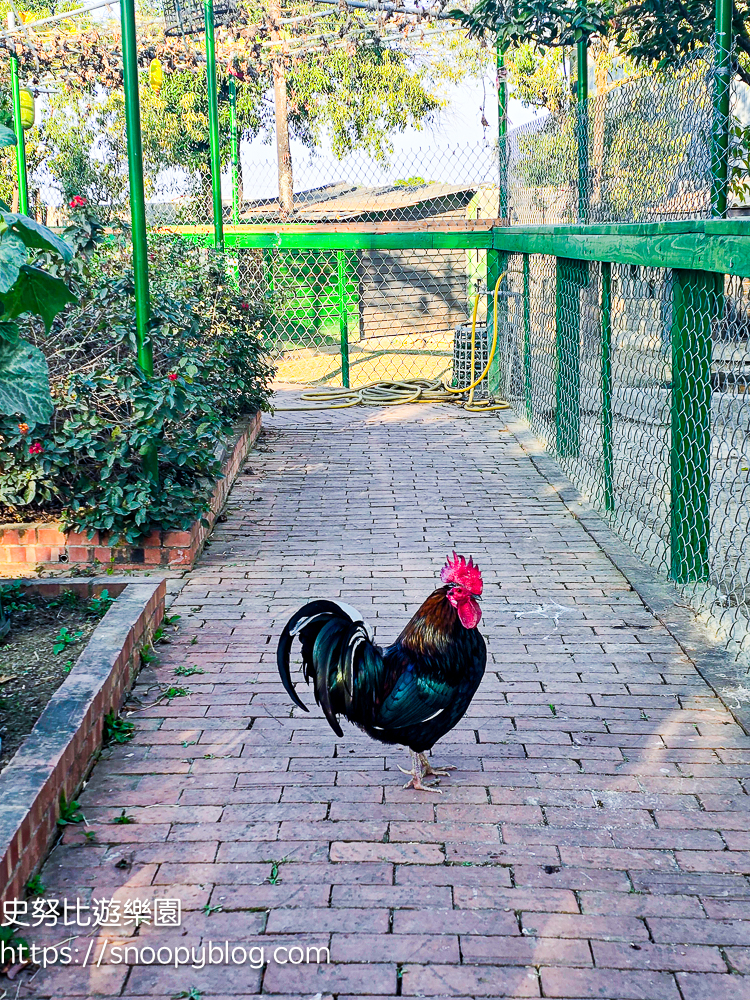  @史努比遊樂園