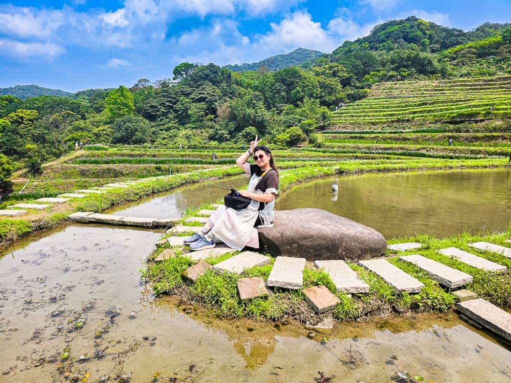 【新北石門】石門嵩山百年梯田鳶尾花開|漫步紫色鳶尾花海,走進梵谷印象派夢幻畫中 @史努比遊樂園 @史努比遊樂園
