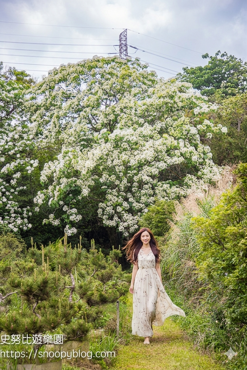 桃園景點,油桐花,賞花景點,龍潭景點