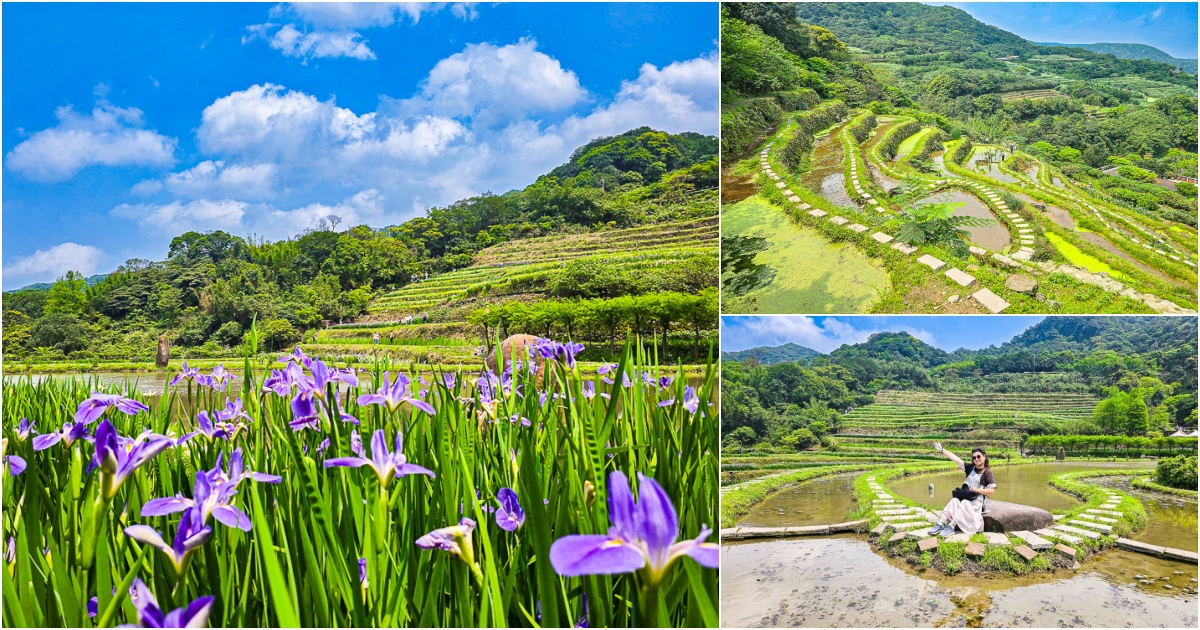 網站近期文章：【新北石門】石門嵩山百年梯田鳶尾花開｜漫步紫色鳶尾花海，走進梵谷印象派夢幻畫中