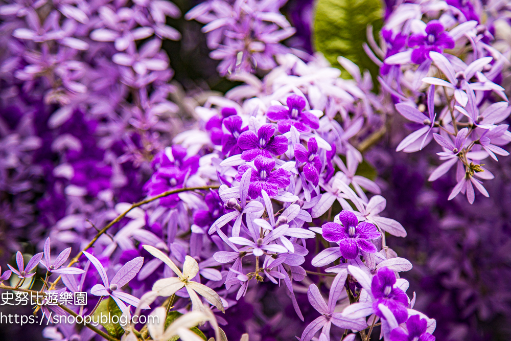  @史努比遊樂園