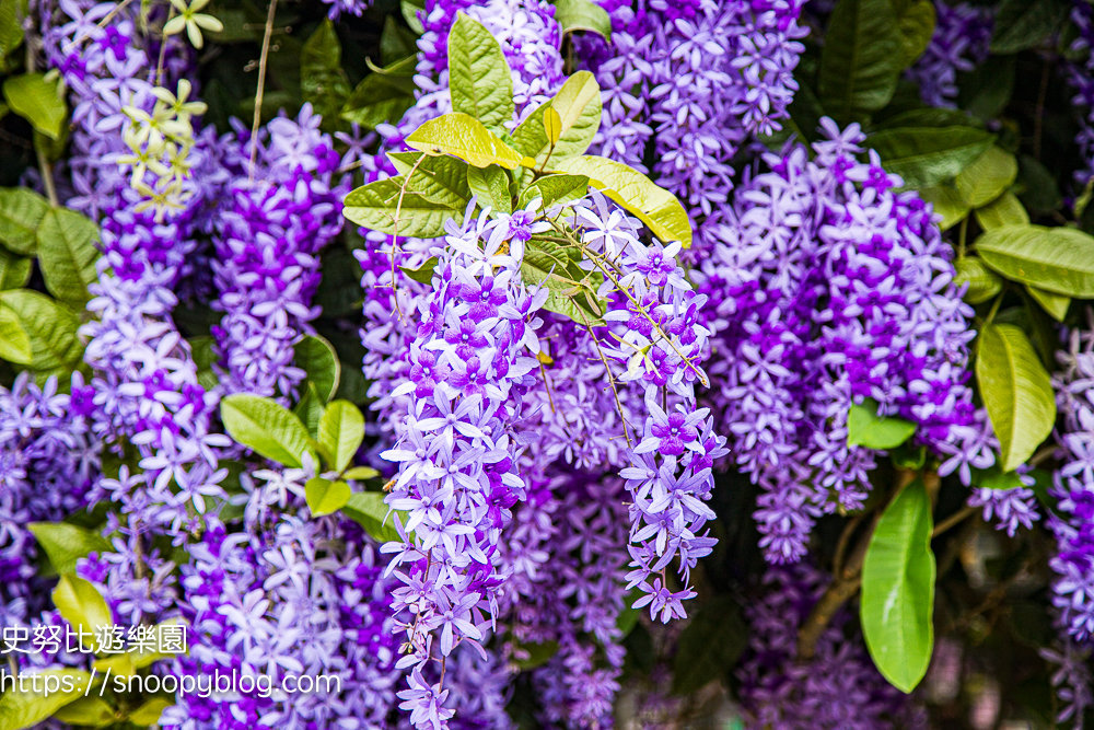  @史努比遊樂園