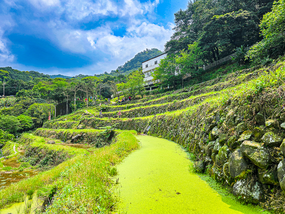 【新北石門】石門嵩山百年梯田鳶尾花開|漫步紫色鳶尾花海,走進梵谷印象派夢幻畫中 @史努比遊樂園 @史努比遊樂園