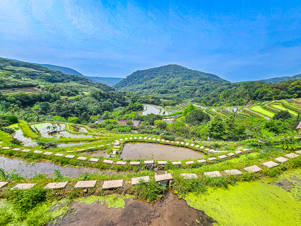 【新北石門】石門嵩山百年梯田鳶尾花開|漫步紫色鳶尾花海,走進梵谷印象派夢幻畫中 @史努比遊樂園 @史努比遊樂園