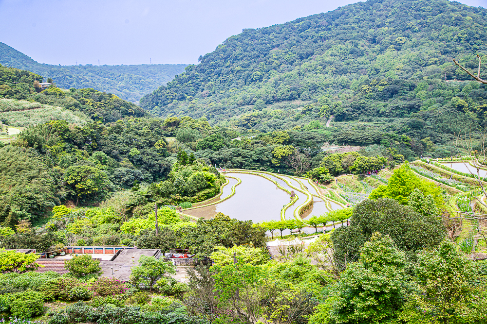 【新北石門】石門嵩山百年梯田鳶尾花開|漫步紫色鳶尾花海,走進梵谷印象派夢幻畫中 @史努比遊樂園 @史努比遊樂園