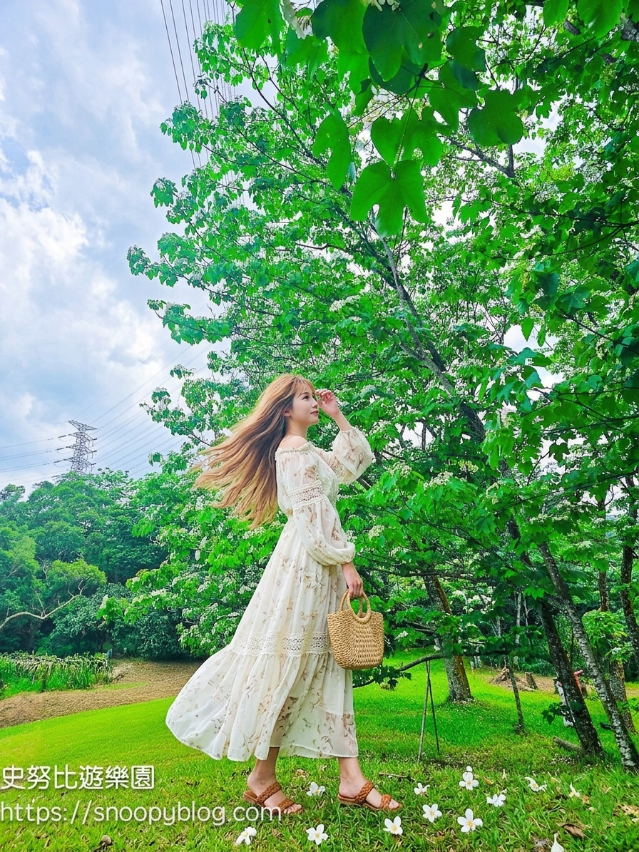 桃園景點,油桐花,賞花景點,龍潭景點 桃園景點,油桐花,賞花景點,龍潭景點