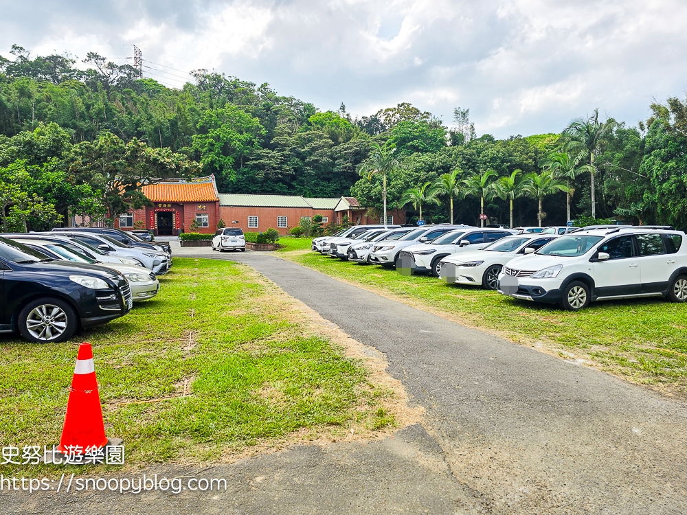 桃園景點,油桐花,賞花景點,龍潭景點