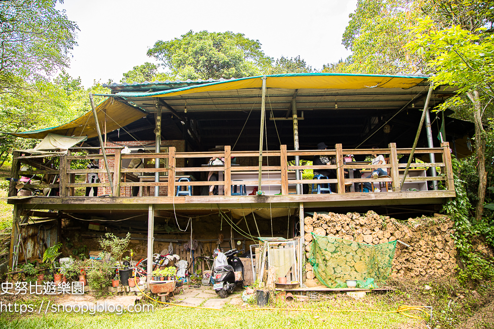 桃園景點,油桐花,賞花景點,龍潭景點