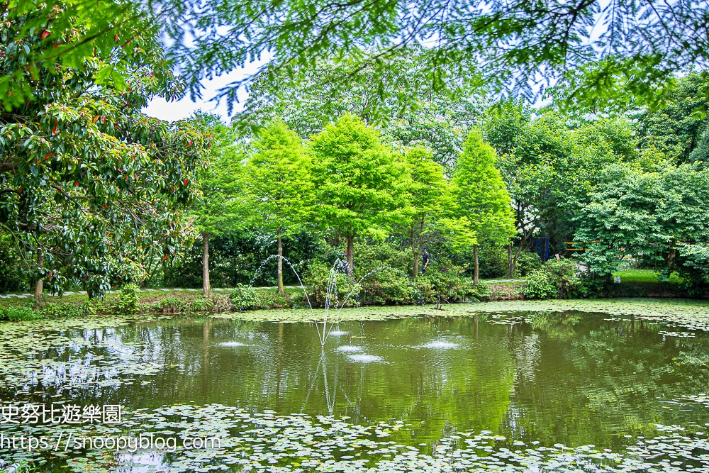 桃園景點,油桐花,賞花景點,龍潭景點