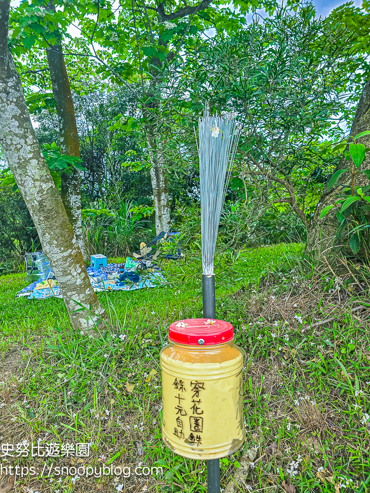 桃園景點,油桐花,賞花景點,龍潭景點