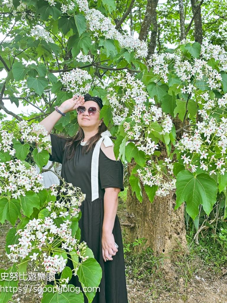 桃園景點,油桐花,賞花景點,龍潭景點