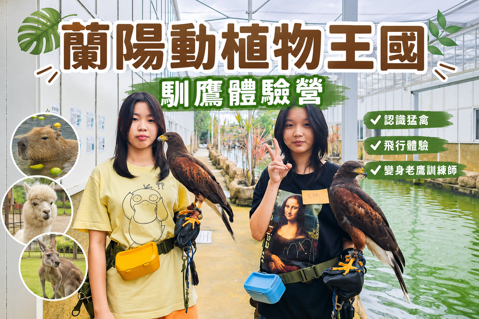 宜蘭蘭陽動植物王國|馴鷹體驗營~超近距離與水豚、袋鼠、羊駝、鸚鵡互動!茶杯豬、貓咪咖啡廳一次玩 @史努比遊樂園 @史努比遊樂園