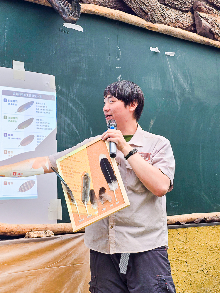 宜蘭蘭陽動植物王國|馴鷹體驗營~超近距離與水豚、袋鼠、羊駝、鸚鵡互動!茶杯豬、貓咪咖啡廳一次玩 @史努比遊樂園 @史努比遊樂園