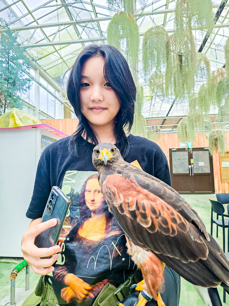 宜蘭蘭陽動植物王國|馴鷹體驗營~超近距離與水豚、袋鼠、羊駝、鸚鵡互動!茶杯豬、貓咪咖啡廳一次玩 @史努比遊樂園 @史努比遊樂園