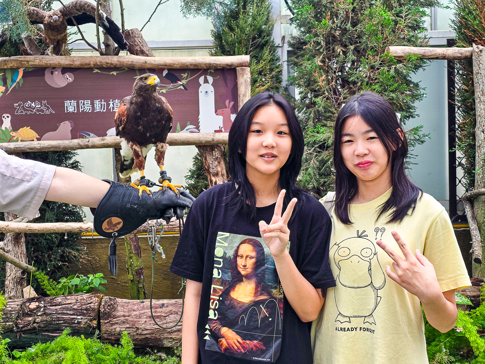 宜蘭蘭陽動植物王國|馴鷹體驗營~超近距離與水豚、袋鼠、羊駝、鸚鵡互動!茶杯豬、貓咪咖啡廳一次玩 @史努比遊樂園 @史努比遊樂園