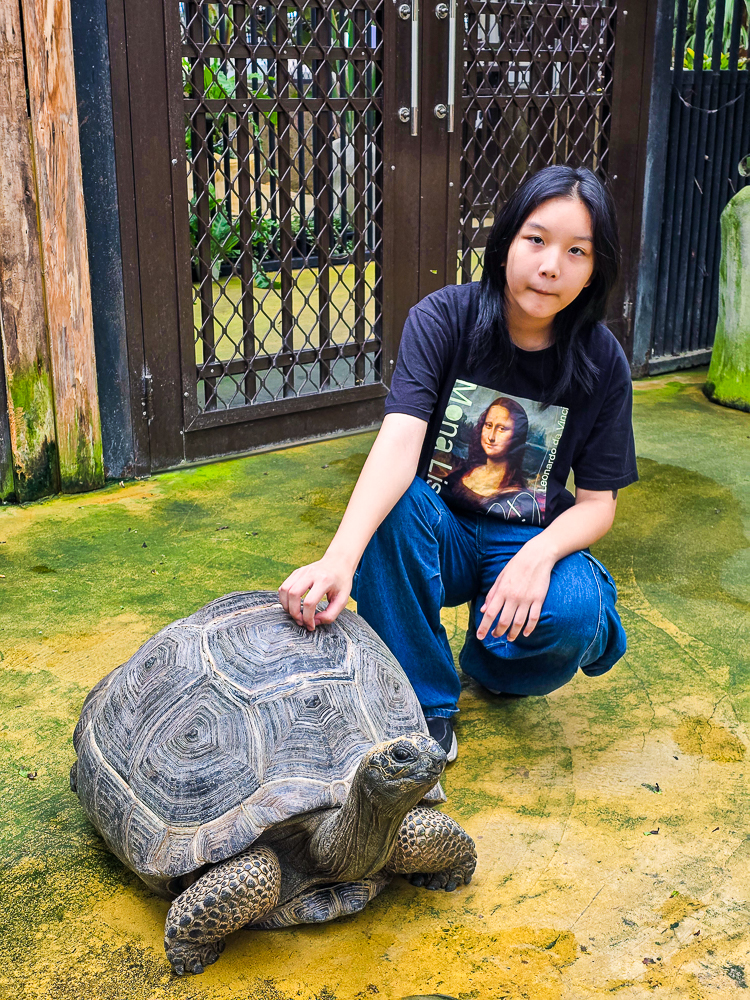 宜蘭蘭陽動植物王國|馴鷹體驗營~超近距離與水豚、袋鼠、羊駝、鸚鵡互動!茶杯豬、貓咪咖啡廳一次玩 @史努比遊樂園 @史努比遊樂園