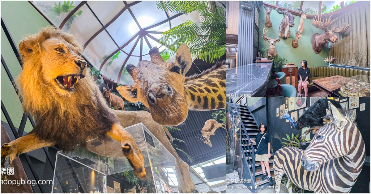網站近期文章：台南仰角舶物｜藏在市區的神秘動物標本博物館，百元門票近距離看長頸鹿